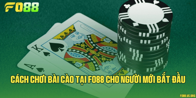 Cách chơi bài cào tại Fo88 cho người mới bắt đầu