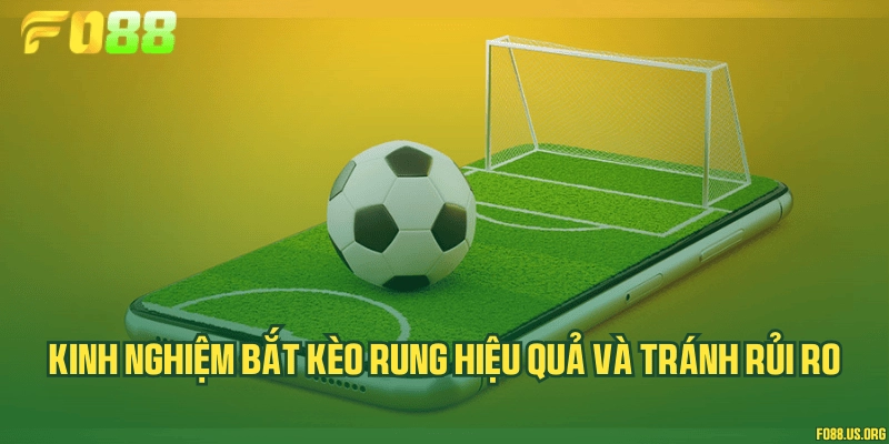 Kinh nghiệm bắt kèo rung hiệu quả và tránh rủi ro